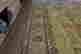 item-133690884=6