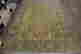 item-133690884=7