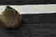 item-133729021=9