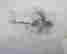 item-133741055=7