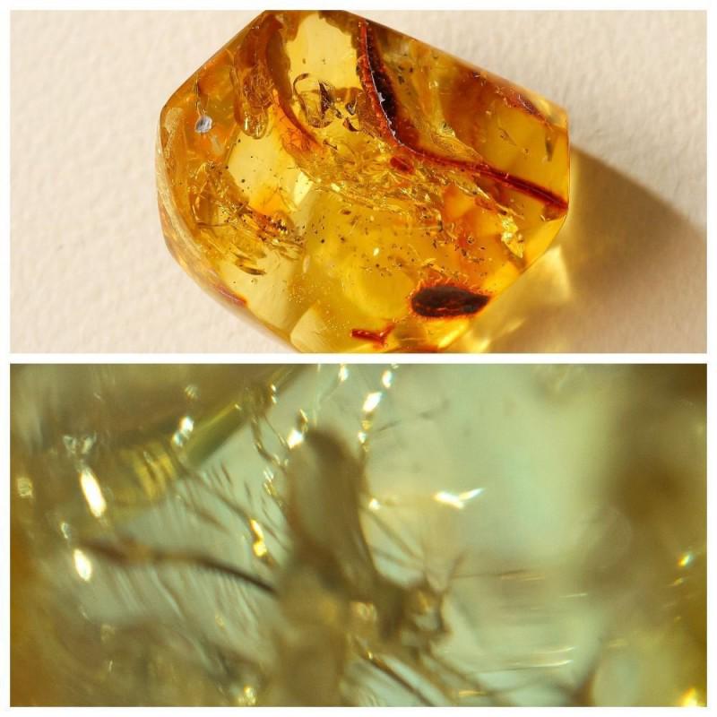 20g insect natural Baltic amber stone fossil inclusion (unknown insect): Weight: 20 gram (0.70 oz) Size: 21x36x44 mm Inclusion: some insect (unknown) Stone: 100% natural Baltic amber Age: 45-50 million years old Treatment: no Condition: as on the photo (good) Tested 100% n