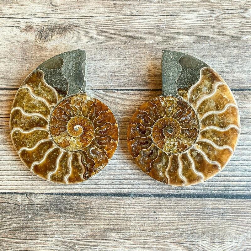 Pair of ammonite fossil honey grey mineral stone rocks: Name: 2 Ammonite Fossil Condition: Very good condition Size: 3,6 inch (91 mm) x 3 inch (71 mm) Weigh: 6,1 oz (173 g) Ammonite was considered by the ancients as a symbol of time, allowing to open the g