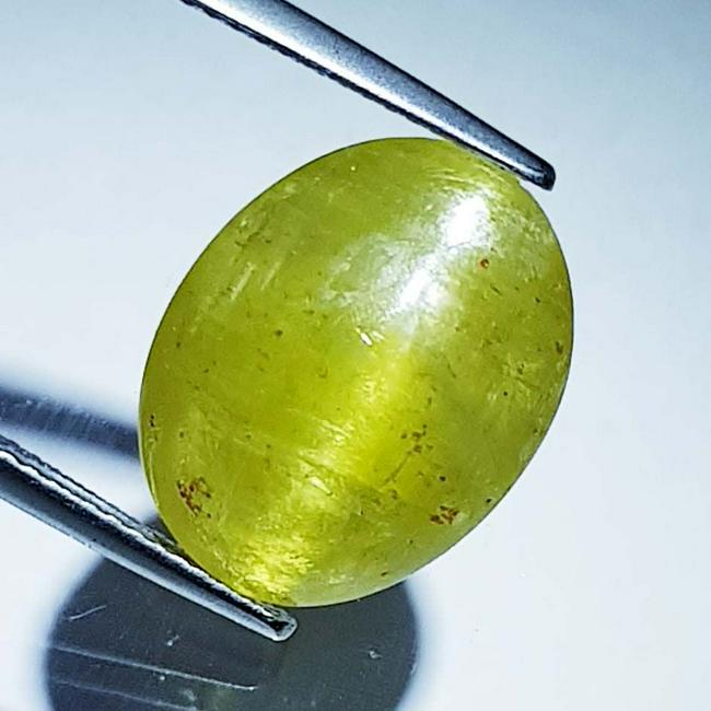 16.46 ct Natural Apatite cat's Eye: No Reserve! Title: 16.46 ct Natural Apatite cat's Eye Color/Clarity: Green / Opaque Gemstones: Apatite Cat's Eye Carat Weights: 16.46 Size/Dimensions: 16.00 x 12.50 x 9.80 Additional Information: Oval