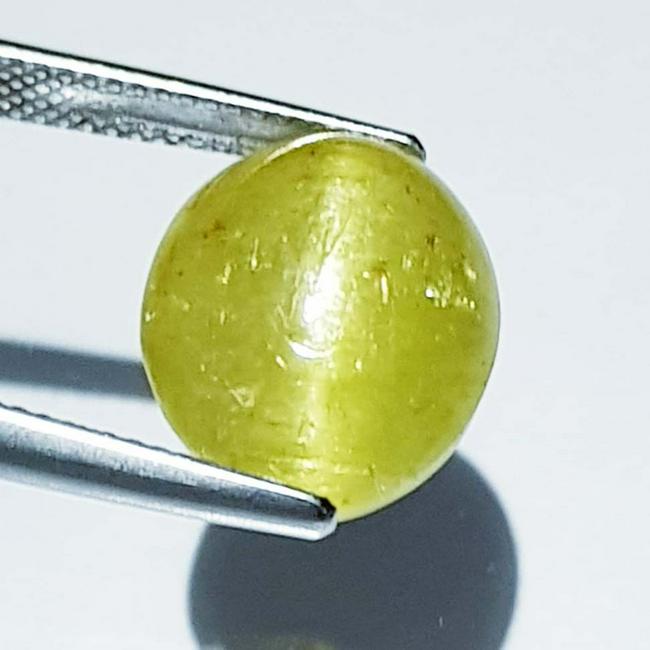 13.45 ct Natural Apatite cat's Eye: No Reserve! Title: 13.45 ct Natural Apatite cat's Eye Color/Clarity: Green / Transparent Gemstones: Apatite Cat's Eye Carat Weights: 13.45 Size/Dimensions: 14.50 x 12.10 x 9.10 Additional Information: