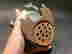 item-133788265=10