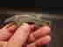 item-133788294=10