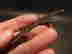 item-133788294=13