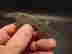 item-133788294=2