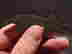 item-133788294=8