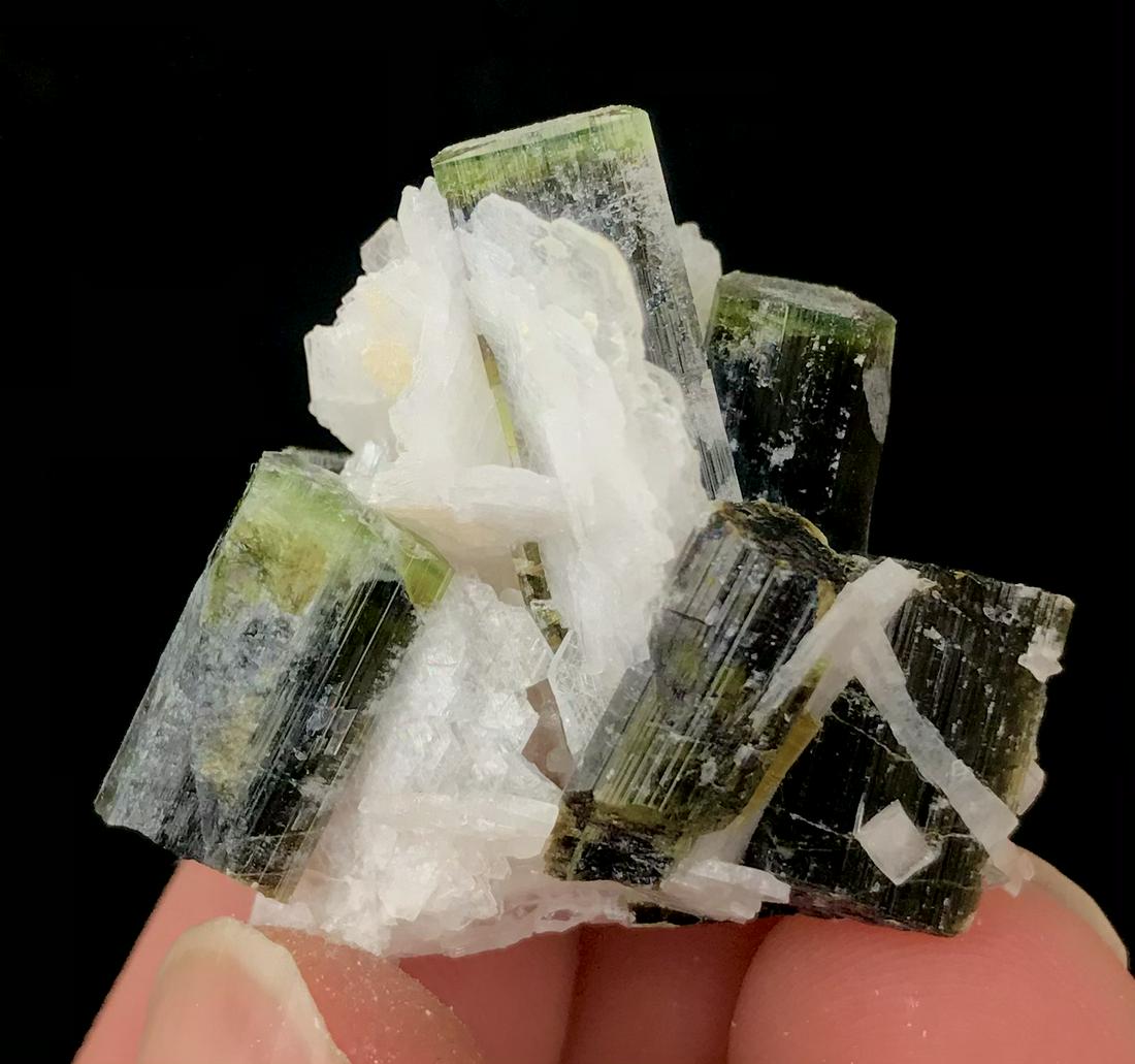 67 Carats World Quality Amazingly Damage Free Fabulous Bi Color Green Cap Tourmaline Crystals: Title: 67 Carats World Quality Amazingly Damage Free Fabulous Bi Color Green Cap Tourmaline Crystals Specimen Origin: Pakistan Treatment: None Color/Clarity: bi Weight: 67 Carats Materials: Tourmaline