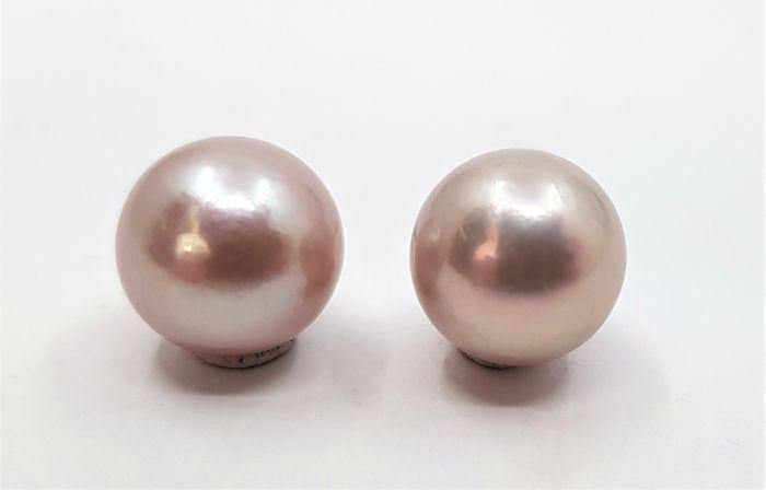 10x11mm Pink Edison Pearls - 14K Yellow Gold - Earrings: A Pair of Edison pearl earrings, that have been hand drawn in 14kt. gold and can be worn throughout the day and evening. These cultured pearls originate from Southeast Asia and have been individually 