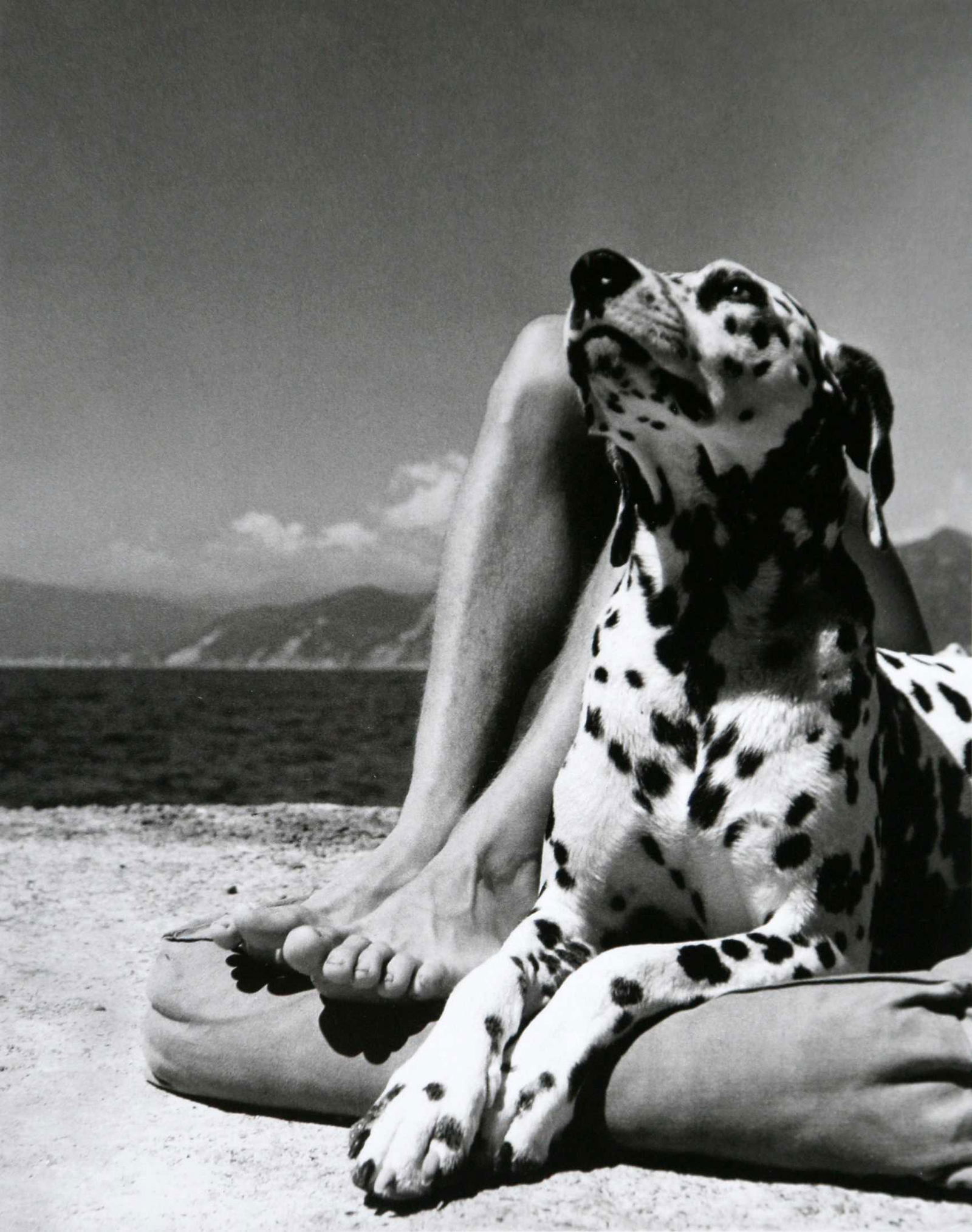 Herbert List, Portofino, 1936: Artist: Herbert List Title: Portofino, 1936 Date Printed: 2008 Medium: High Quality Offset Photo Print with Copyright Herbert List / Magnum Photos Print Origin: Printed in Italy - Portfolio Edition by