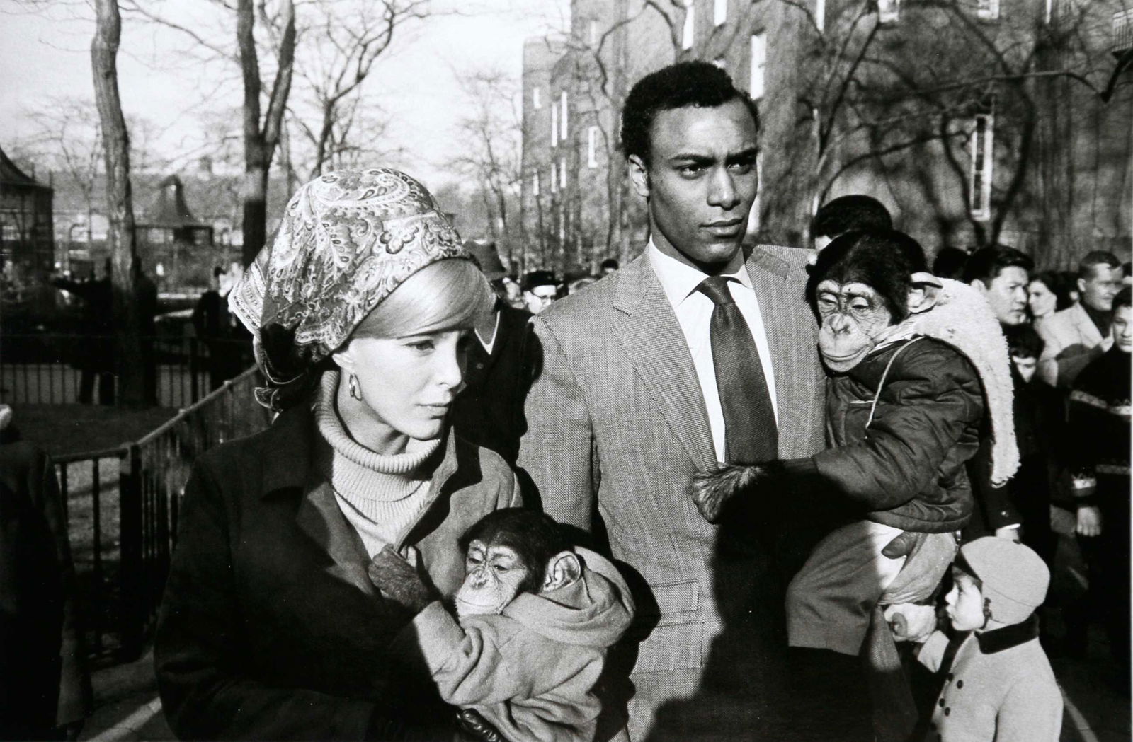 Garry Winogrand, Central Park Zoo.New York City, 1967: Artist: Garry Winogrand Title: Central Park Zoo.New York City, 1967 Date Printed: 2008 Medium: High Quality Offset Photo Print with Copyright Estate of Garry Winogrand Print Origin: Printed in Italy -