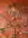 item-133956920=5