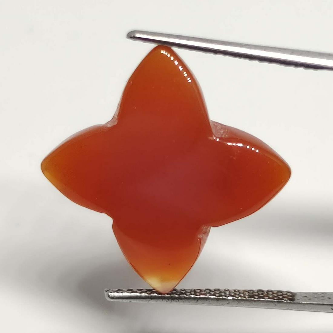 9.40 ct Natural Carnelian Star Cab: No Reserve! Title: 9.40 ct Natural Carnelian Star Cab Additional Information: Gemstones: Carnelian Carat Weights: 9.40 ct Size/Dimensions: 15 X 15 mm Materials & Techniques: Carnelian Shipping: Domest