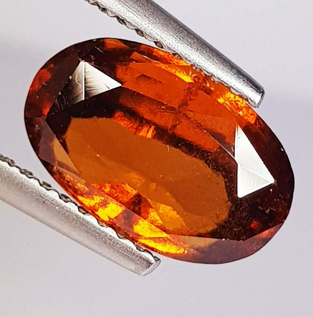 3.30 Ctz Natural Hessonite Garnet (1 of 4)