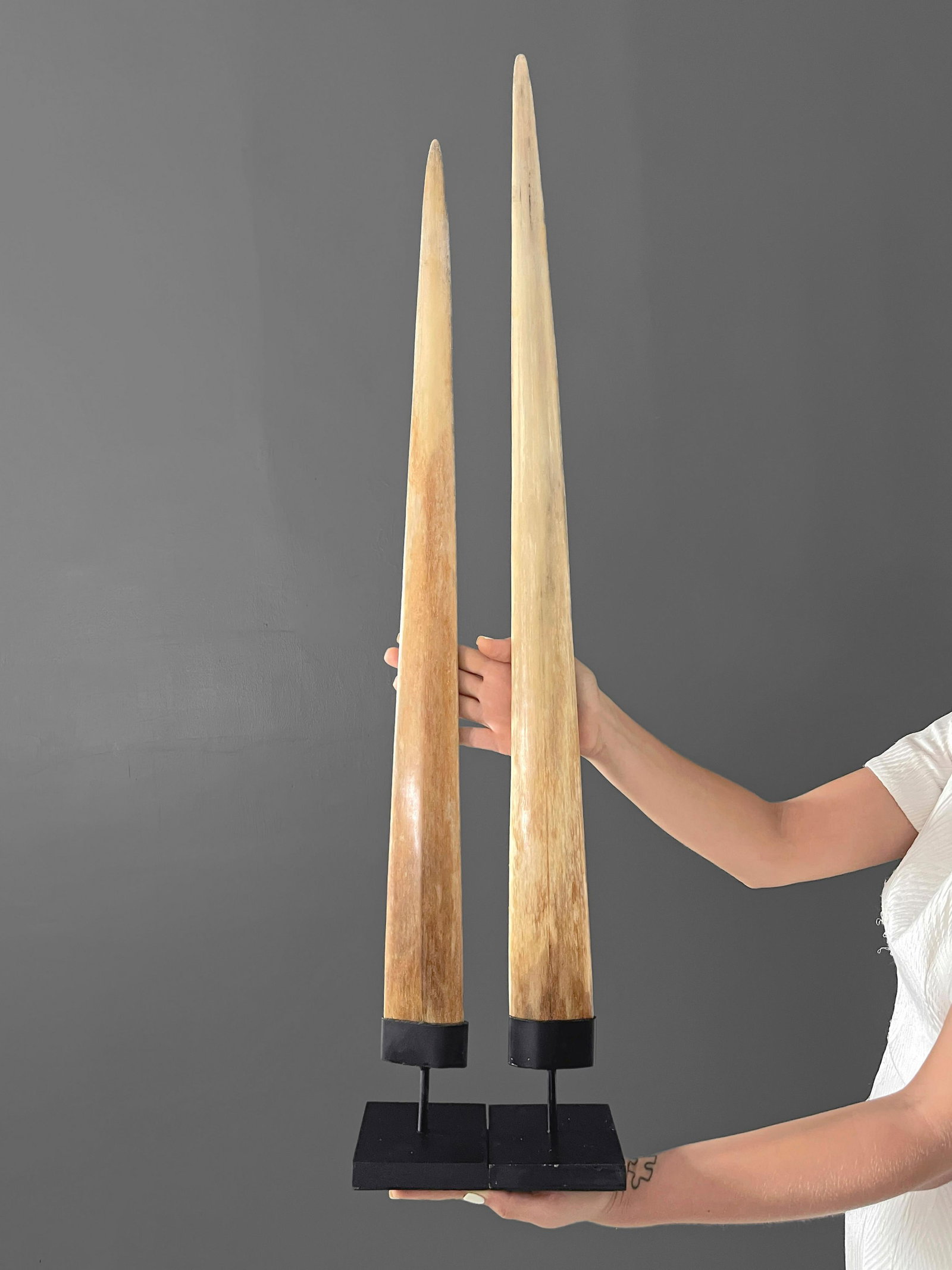 Pair of Swordfish Tusks with custom stands: Title: Pair of Swordfish Tusks with custom stands Maker: Unknown Origin: Indonesia Date/Period: 2021 Materials: Bone, Steel, Xiphius Gladius Dimensions:Height including stand: Tusk 1: 84 cm / 33 inche
