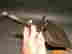 item-134150135=6