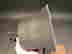 item-134150135=7