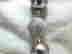 item-134163342=4