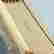 item-134168817=13