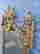 item-134261902=8