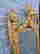 item-134261902=9