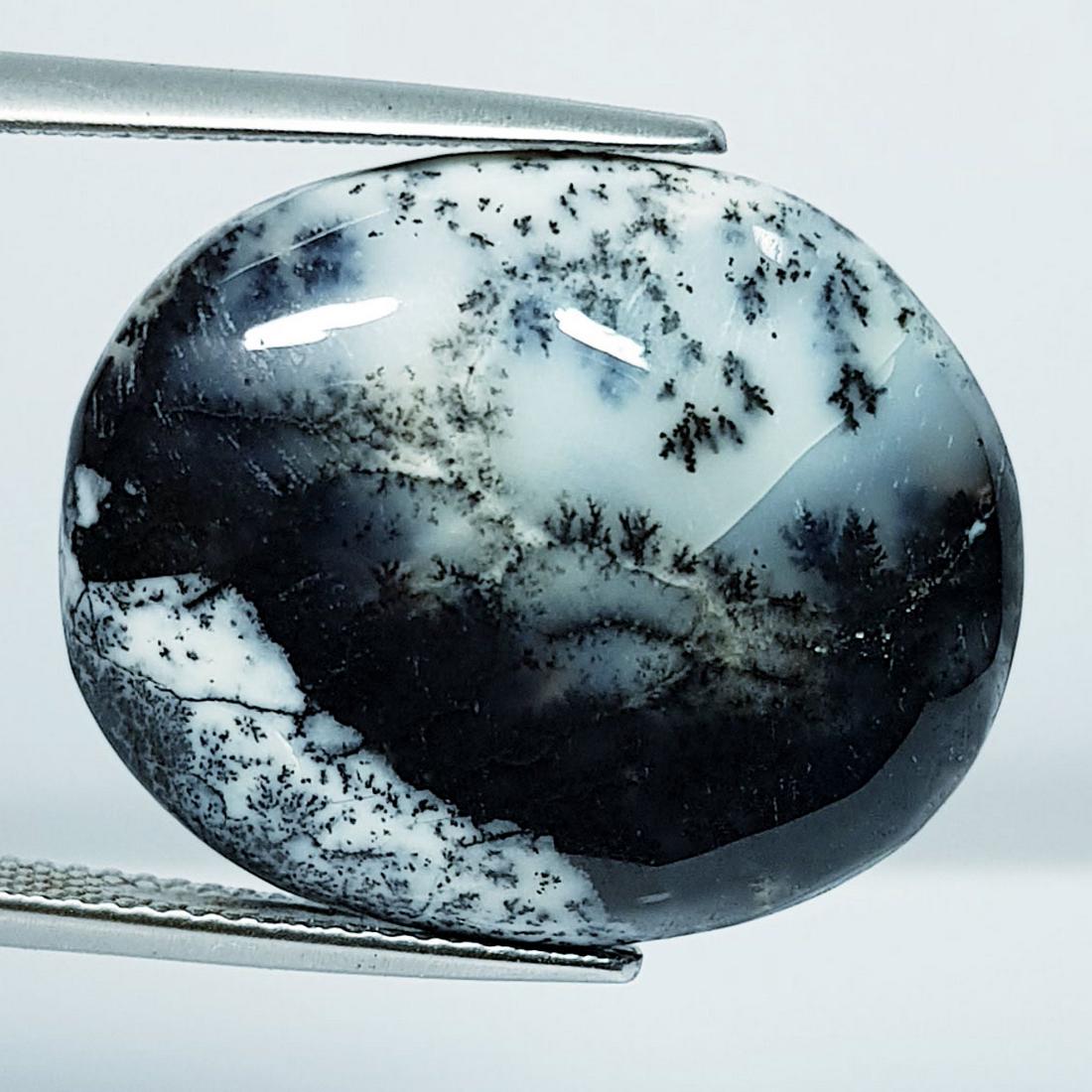 20.76 Ctz Natural Fine Quality Dendritic Opal (1 of 4)