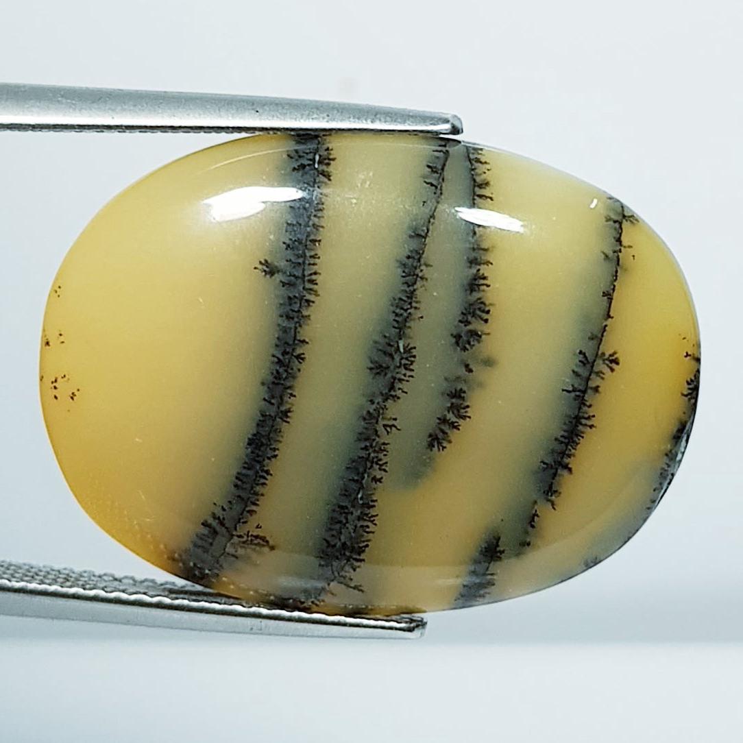 18.45 Ctz Natural Fine Quality Dendritic Opal (1 of 4)