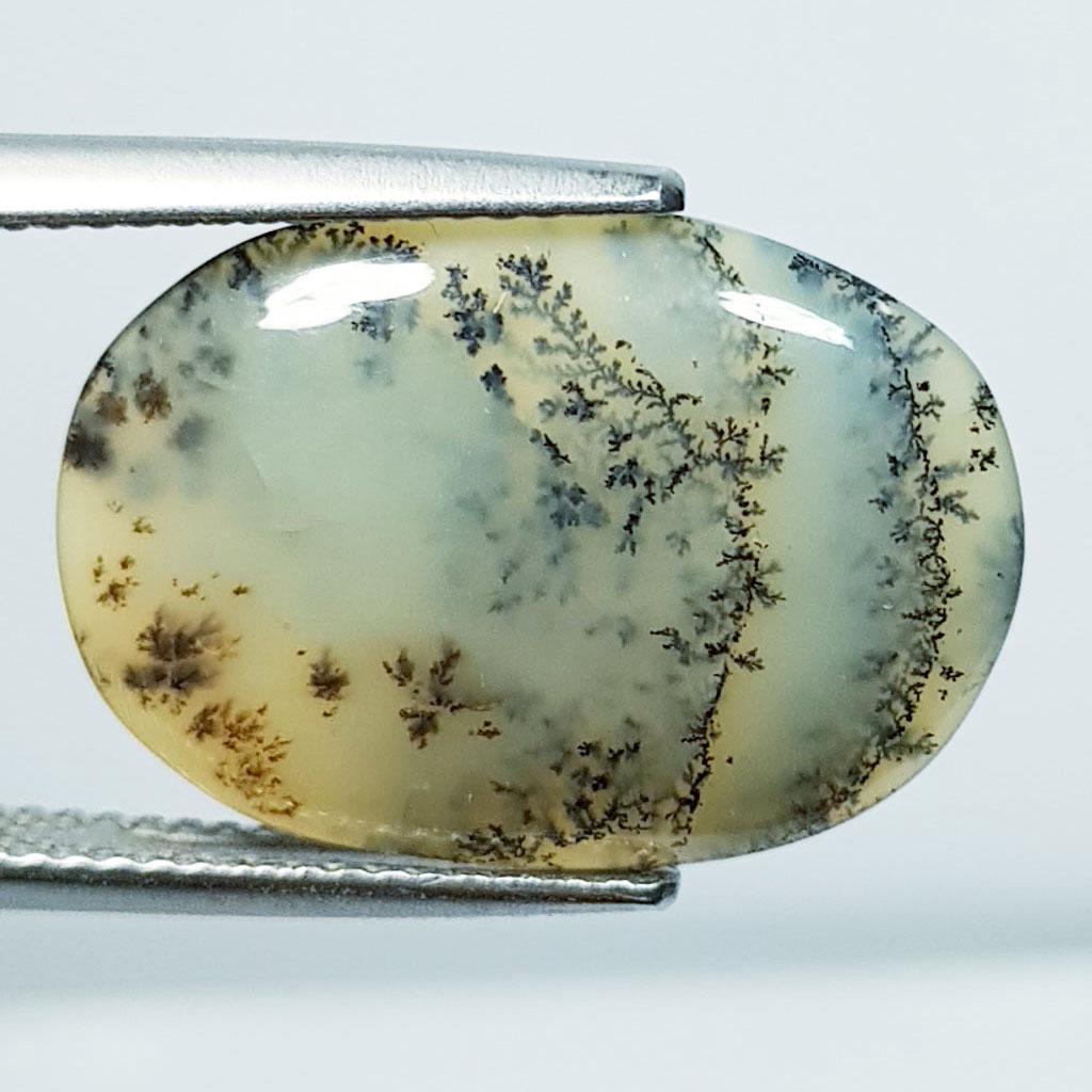 6.35 Ctz Natural Fine Quality Dendritic Opal (1 of 4)