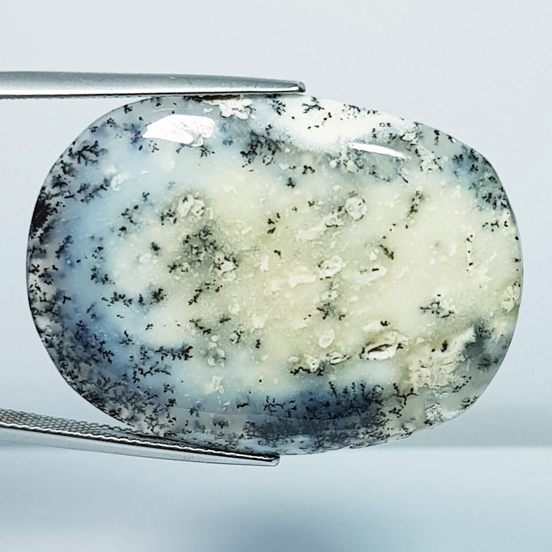 39.74 Ctz Natural Fine Quality Dendritic Opal (1 of 4)