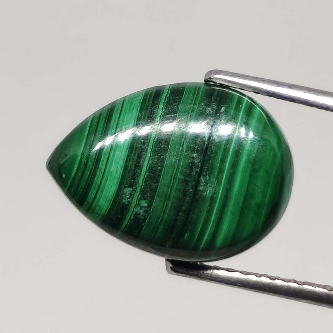 8 ct Natural Malachite: No Reserve! Title: 8 ct Natural Malachite Additional Information: Gemstones: Malachite Carat Weights: 8 ct Size/Dimensions: 14 X 10 X 5 mm Materials & Techniques: Malachite Shipping: Domestic: Flat-ra