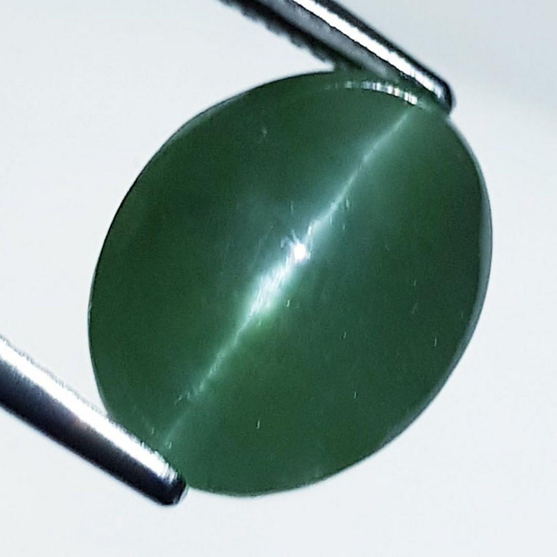 11.44 Ctz 'Rare Collection" Rare Green Apatite Cat's Eye (1 of 3)