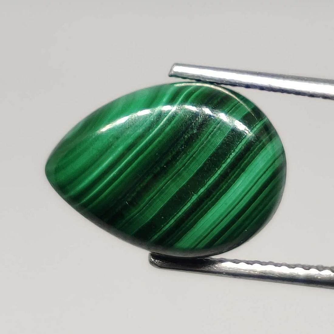 7.30 ct Natural Malachite: No Reserve! Title: 7.30 ct Natural Malachite Description: Gemstones: Malachite Carat Weights: 7.30 ct Size/Dimensions: 14 x 10 x 5 mm Gemstone: Malachite,Stone Shipping: Domestic: Flat-rate of $7.