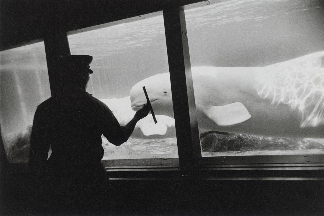 GARRY WINOGRAND - Untitled, 1963 (1 of 1)