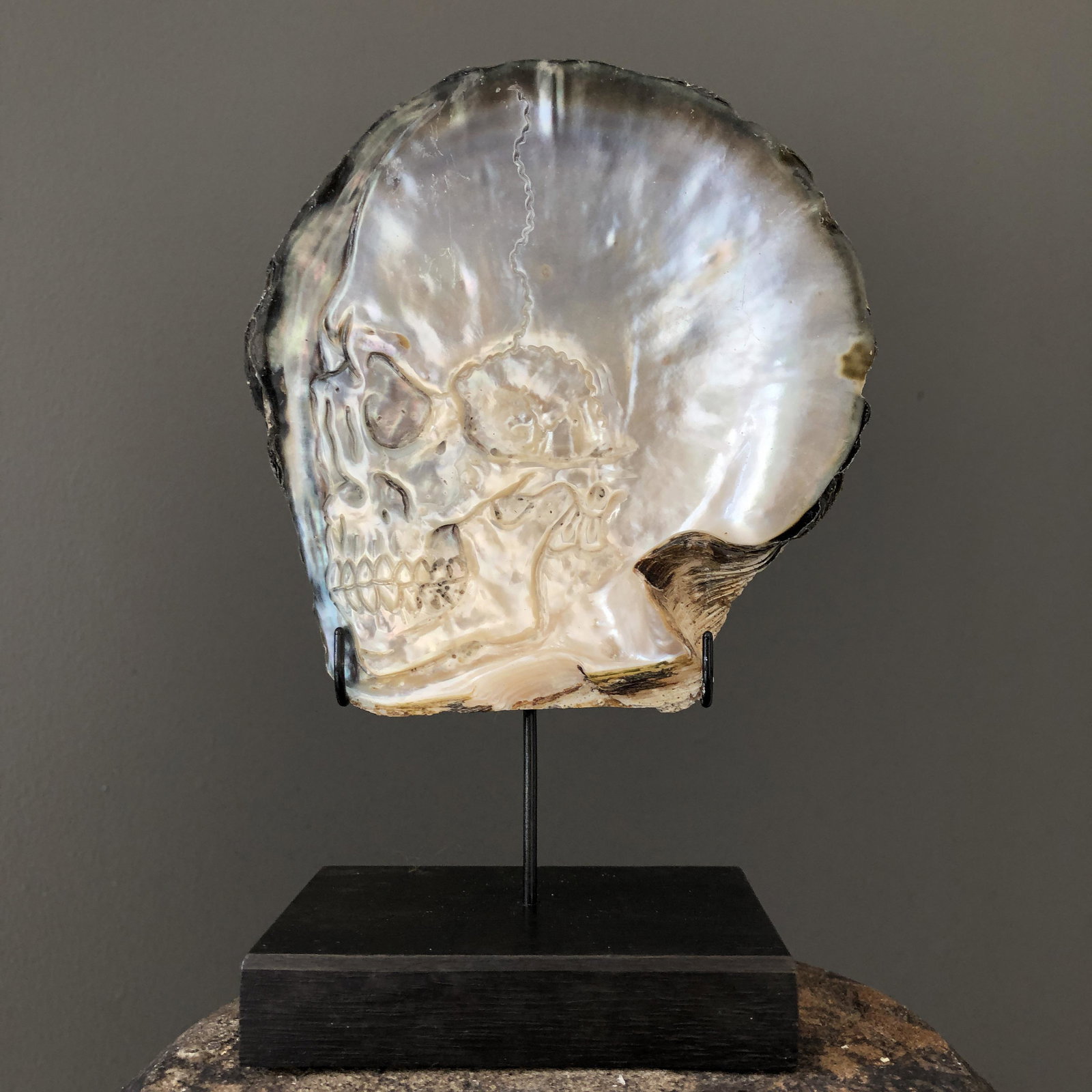 Mother of Pearl Shell with Human Skull Carving: Title: Mother of Pearl Shell with Human Skull Carving Maker: Unknown Origin: Indonesia Date/Period: 2021 Materials: Pinctada maxima, wood, steel Dimensions:Height: 19 cm / 7.4 inches | Width: 13 cm / 