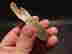 item-135162172=2