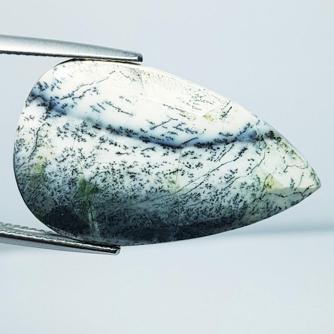 14.20 Ctz Natural Dendritic Opal (1 of 4)