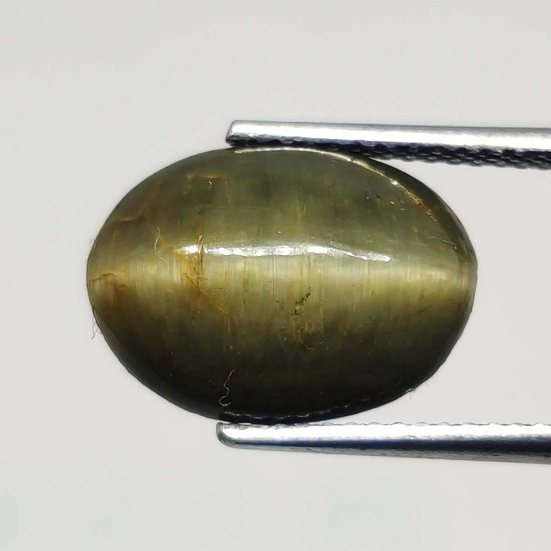 7.45 ct Natural Cat's Eye: No Reserve! Title: 7.45 ct Natural Cat's Eye Additional Information: Gemstones: Natural Cat's Eye Carat Weights: 7.45 ct Size/Dimensions: 13 X 10 X 8 mm Treatment: Colorless Oil Materials & Techniques