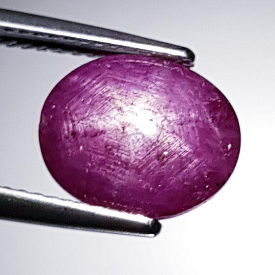 5.64 Ctz Natural Pink Star Ruby (1 of 5)