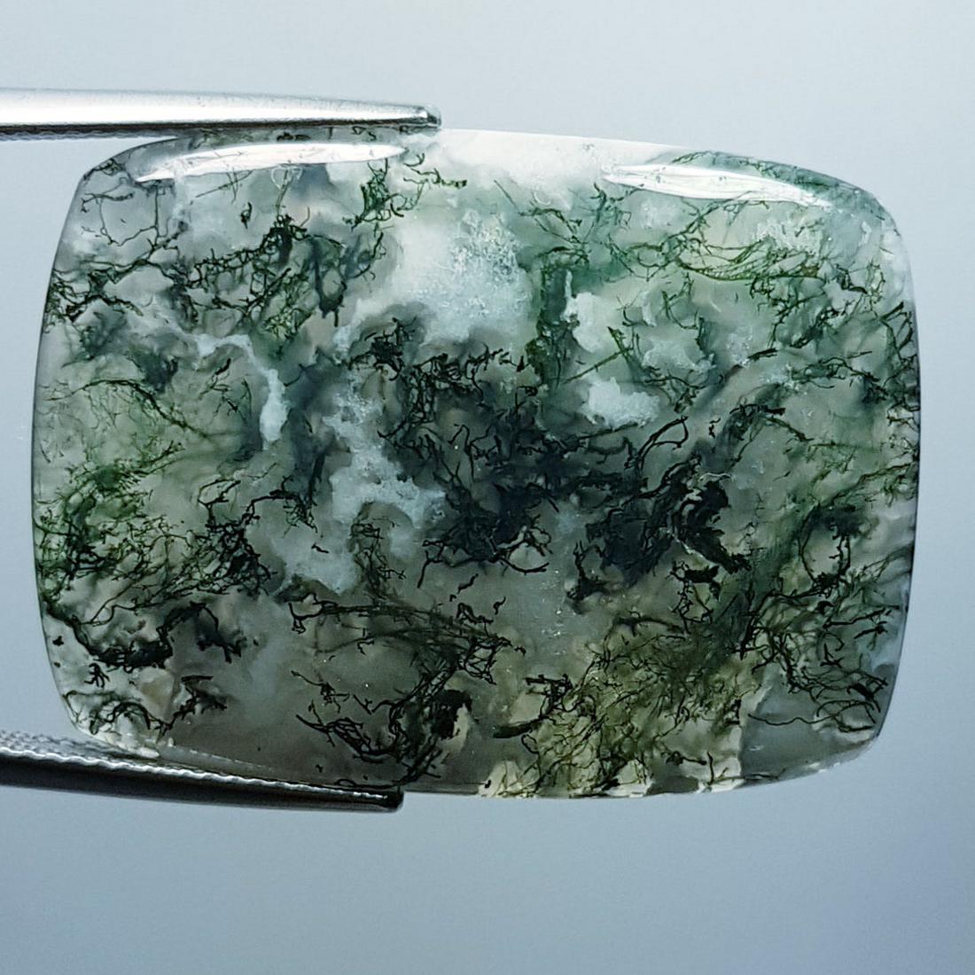 34.64 Ctz Natural Occean / Tree Jasper (1 of 4)