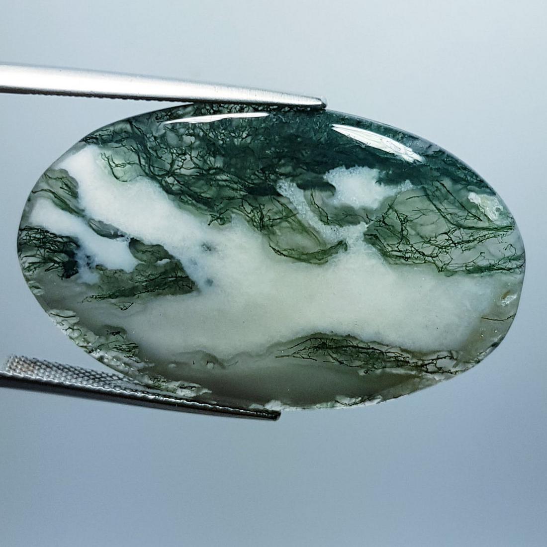 37.48 Ctz Natural Occean / Tree Jasper (1 of 4)