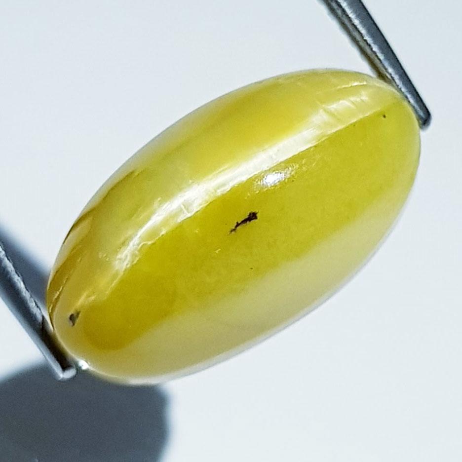 17.35 Ctz Rare Big SIZED Natural Opal Cat's Eye: No Reserve! Title: 17.35 Ctz Rare Big SIZED Natural Opal Cat's Eye Color/Clarity: Ash yellow / Semi Transparant Gemstone: Opal Carat Weight: 17.35 Size/Dimensions: 19.60 x 11.00 x 14.00 Additional Inf