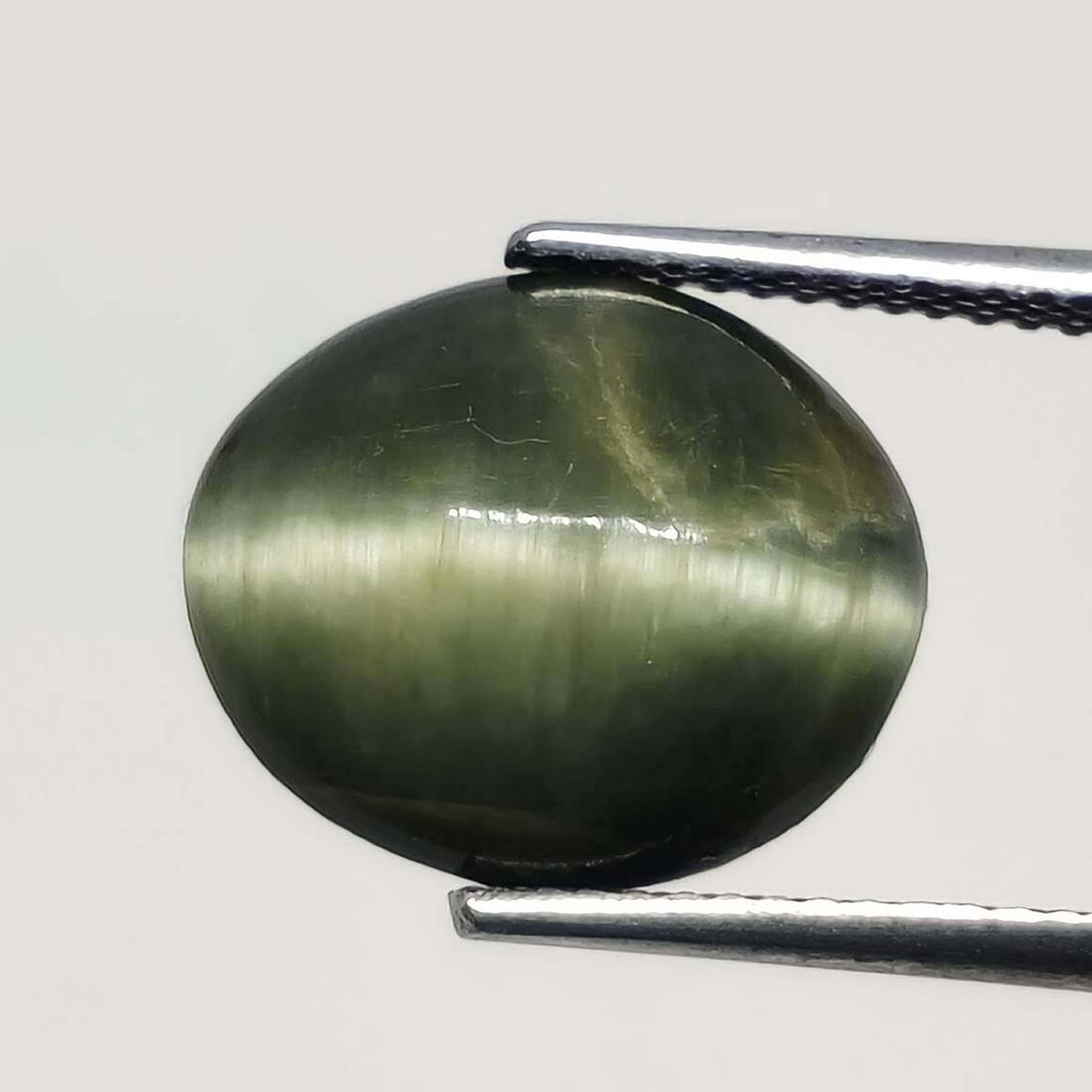 7.70 ct Natural Cat's Eye: No Reserve! Title: 7.70 ct Natural Cat's Eye Additional Information: Gemstones: Natural Cat's Eye Carat Weights: 7.70 ct Size/Dimensions: 13 X 11 X 8 mm Treatment: Colorless Oil Materials & Techniques