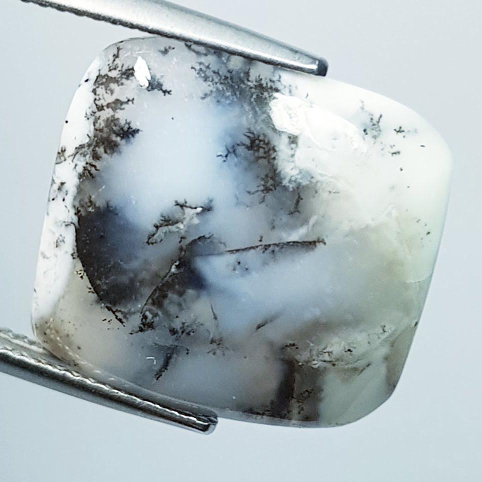 13.85 Ctz Natural Dendritic Opal (1 of 4)