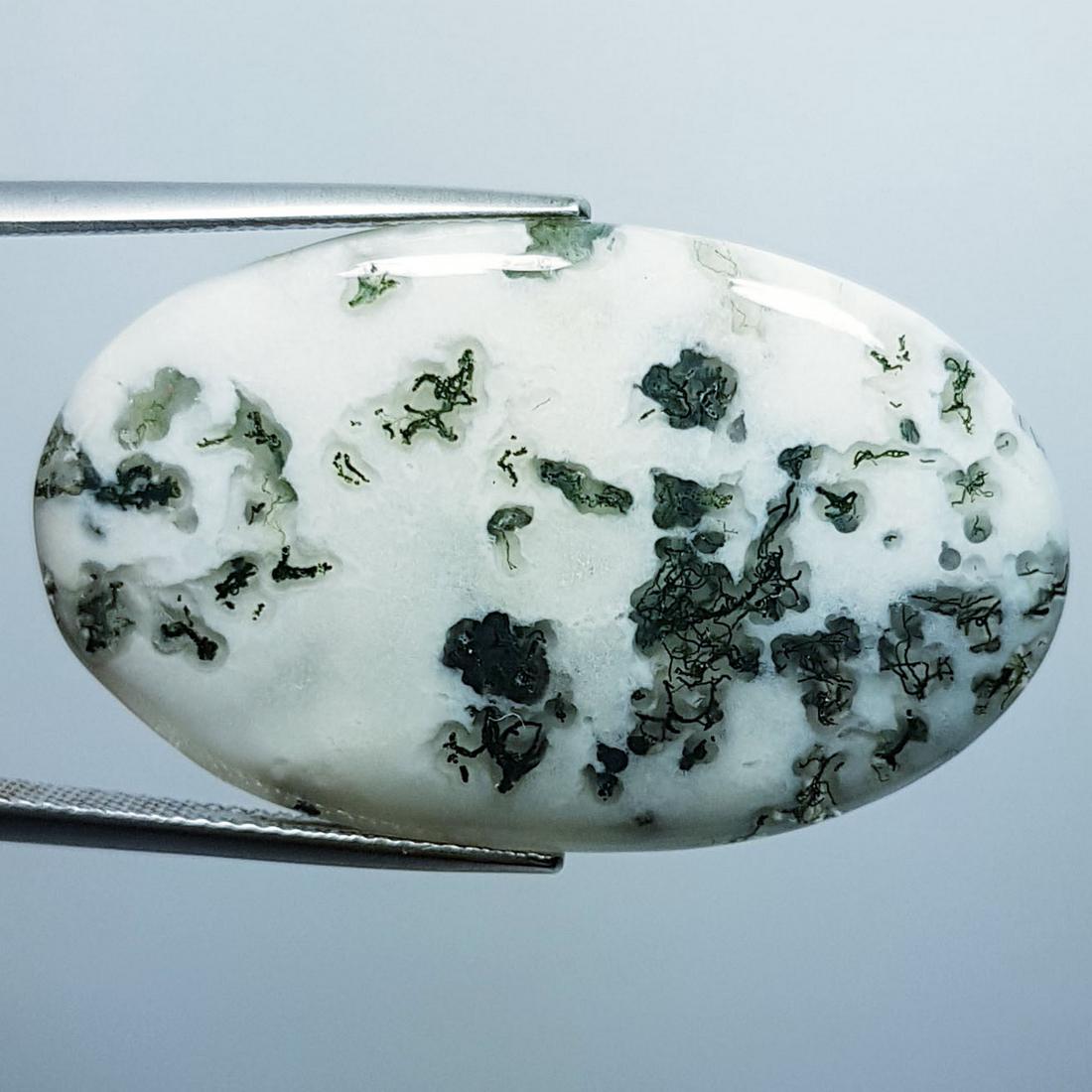 38.51 Ctz Natural Occean / Tree Jasper (1 of 4)