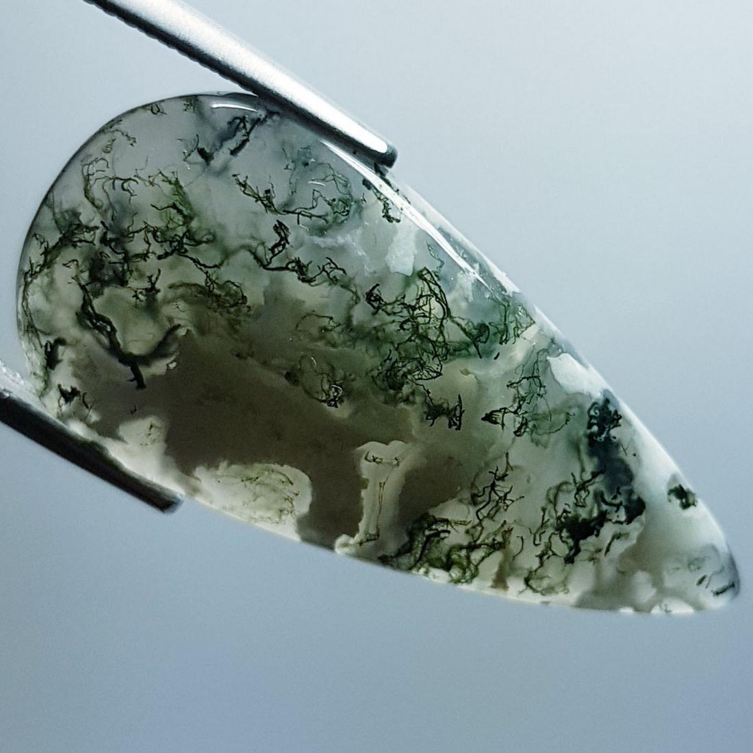 17.63 Ctz Natural Occean / Tree Jasper (1 of 4)