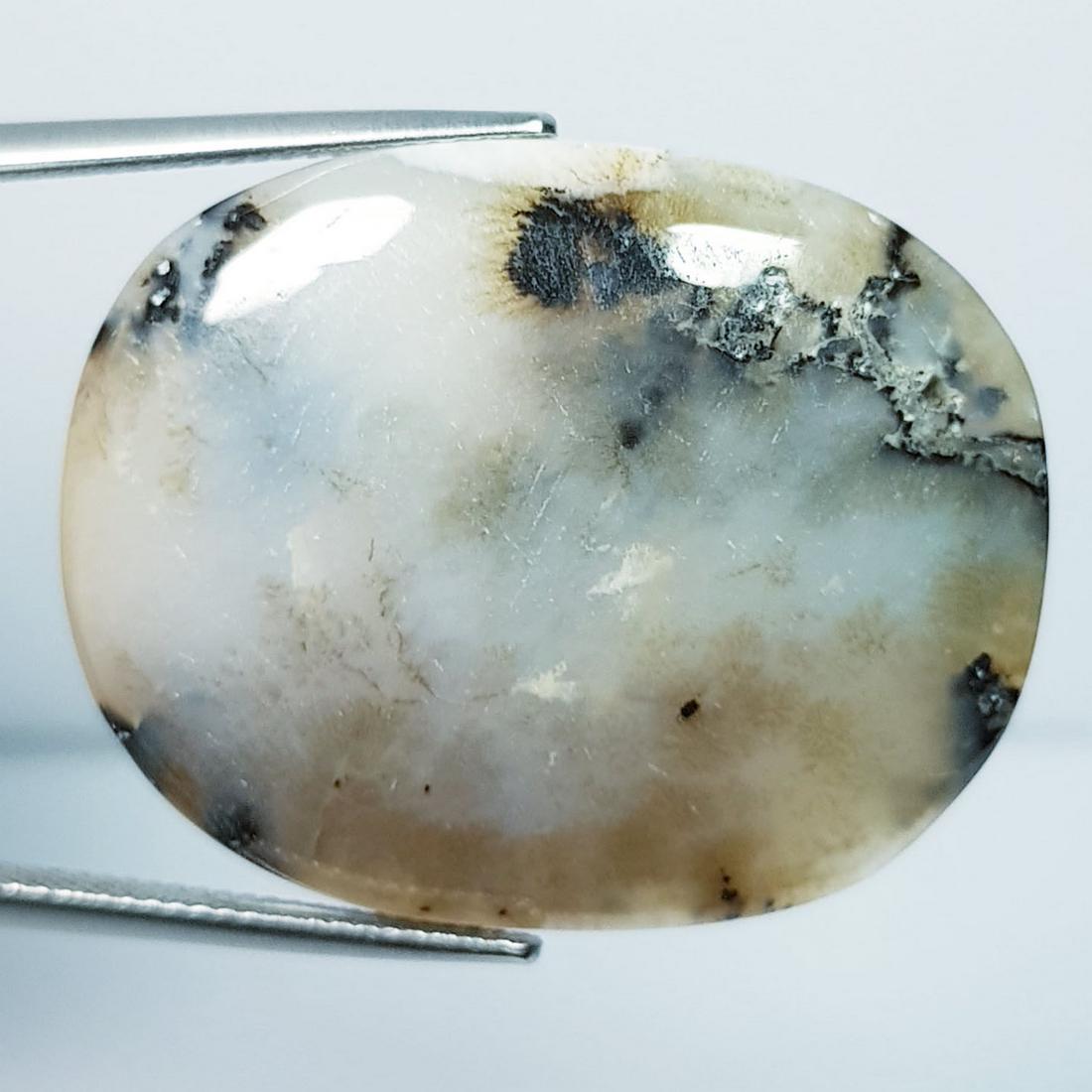 40.74 Ctz Natural Dendritic Opal (1 of 4)