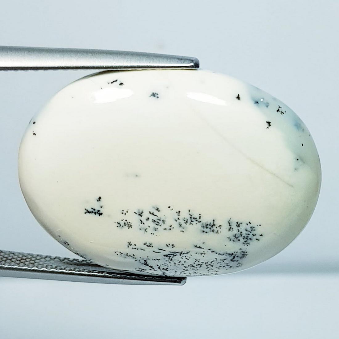 22.72 Ctz Natural Dendritic Opal (1 of 4)