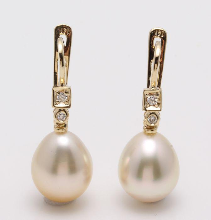 14 kt Yellow Gold - 10x11mm Champagne Golden South Sea Pearls - Earringsn - 0.07 ct (1 of 9)